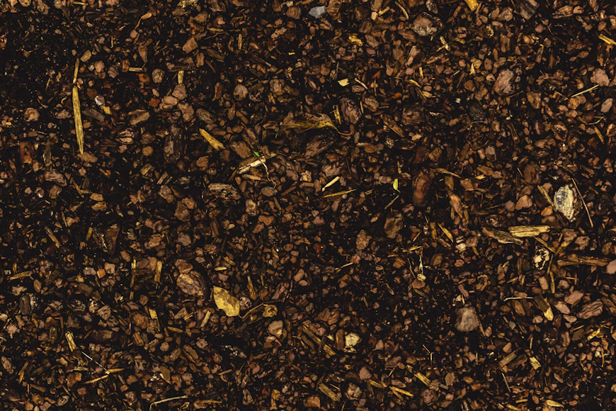 low organic matter