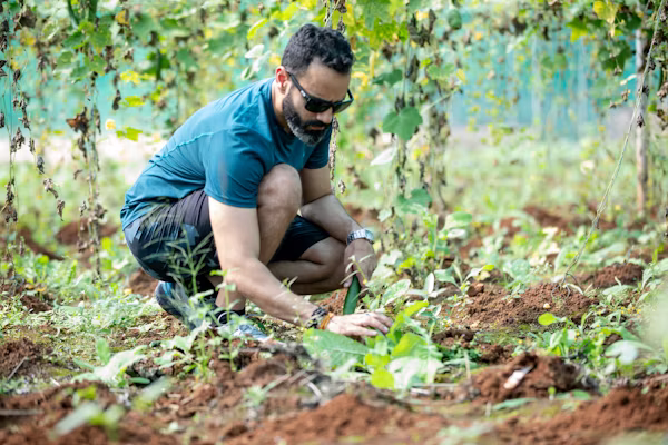 Soil Testing