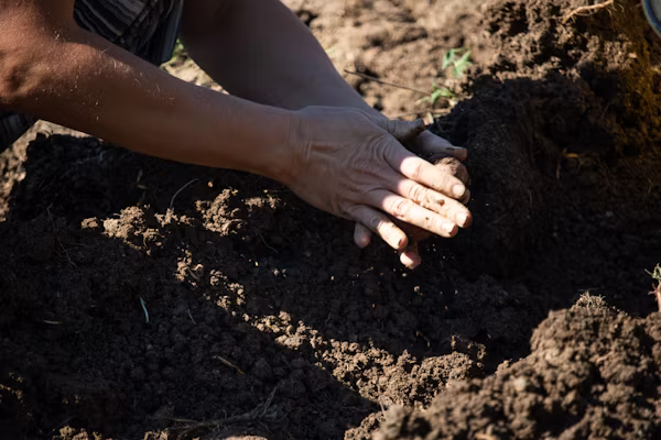 Soil testing