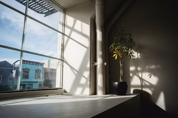 plant away from sunlight